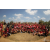 Raid Amazones Sri Lanka 2019 - J3 VTT