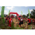 Team 36 / Raid Amazones Sri Lanka 2019 - J3 VTT