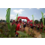 Raid Amazones Sri Lanka 2019 - J3 VTT