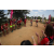 Team 05 / Raid Amazones Sri Lanka 2019 - J3 VTT
