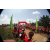 Team 05 / Raid Amazones Sri Lanka 2019 - J3 VTT