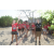 Team 03 / Raid Amazones Sri Lanka 2019 - J3 VTT