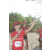 Team 08 / Raid Amazones Sri Lanka 2019 - J3 VTT