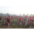 Raid Amazones Sri Lanka 2019 - J3 VTT
