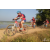 Team 08 / Raid Amazones Sri Lanka 2019 - J3 VTT