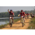 Team 103 / Raid Amazones Sri Lanka 2019 - J3 VTT