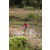 Team 05 / Raid Amazones Sri Lanka 2019 - J3 VTT