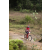 Team 05 / Raid Amazones Sri Lanka 2019 - J3 VTT