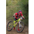 Team 05 / Raid Amazones Sri Lanka 2019 - J3 VTT