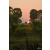 Raid Amazones Sri Lanka 2019 - J3 VTT