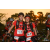 Team 14 / Raid Amazones Sri Lanka 2019 - J3 VTT