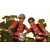 Team 07 / Raid Amazones Sri Lanka 2019 - J3 VTT