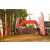 Team 30 / Raid Amazones Sri Lanka 2019 - J3 VTT