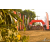 Team 29 / Raid Amazones Sri Lanka 2019 - J3 VTT
