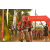 Team 15 / Raid Amazones Sri Lanka 2019 - J3 VTT
