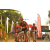 Team 29 / Raid Amazones Sri Lanka 2019 - J3 VTT