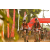 Team 143 / Raid Amazones Sri Lanka 2019 - J3 VTT