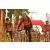 Team 143 / Raid Amazones Sri Lanka 2019 - J3 VTT