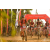 Team 04 / Raid Amazones Sri Lanka 2019 - J3 VTT