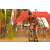 Team 04 / Raid Amazones Sri Lanka 2019 - J3 VTT