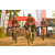 Team 28 / Raid Amazones Sri Lanka 2019 - J3 VTT