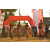 Team 25 / Raid Amazones Sri Lanka 2019 - J3 VTT