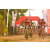 Team 103 / Raid Amazones Sri Lanka 2019 - J3 VTT