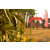 Team 16 / Raid Amazones Sri Lanka 2019 - J3 VTT
