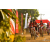 Team 102 / Raid Amazones Sri Lanka 2019 - J3 VTT