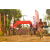 Team 01 / Raid Amazones Sri Lanka 2019 - J3 VTT