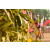 Team 01 / Raid Amazones Sri Lanka 2019 - J3 VTT