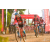 Team 122 / Raid Amazones Sri Lanka 2019 - J3 VTT