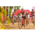 Team 12 / Raid Amazones Sri Lanka 2019 - J3 VTT