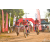 Team 03 / Raid Amazones Sri Lanka 2019 - J3 VTT