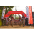 Team 20 / Raid Amazones Sri Lanka 2019 - J3 VTT