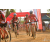 Team 105 / Raid Amazones Sri Lanka 2019 - J3 VTT