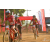 Team 105 / Raid Amazones Sri Lanka 2019 - J3 VTT