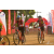 Team 105 / Raid Amazones Sri Lanka 2019 - J3 VTT