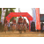 Team 09 / Raid Amazones Sri Lanka 2019 - J3 VTT