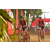 Team 09 / Raid Amazones Sri Lanka 2019 - J3 VTT