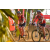 Team 26 / Raid Amazones Sri Lanka 2019 - J3 VTT