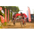 Team 37 / Raid Amazones Sri Lanka 2019 - J3 VTT