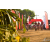 Team 14 / Raid Amazones Sri Lanka 2019 - J3 VTT