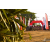 Team 18 / Raid Amazones Sri Lanka 2019 - J3 VTT