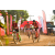 Team 07 / Raid Amazones Sri Lanka 2019 - J3 VTT