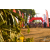 Team 06 / Raid Amazones Sri Lanka 2019 - J3 VTT