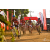 Team 120 / Raid Amazones Sri Lanka 2019 - J3 VTT