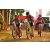 Team 120 / Raid Amazones Sri Lanka 2019 - J3 VTT