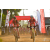 Team 34 / Raid Amazones Sri Lanka 2019 - J3 VTT