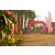 Team 24 / Raid Amazones Sri Lanka 2019 - J3 VTT